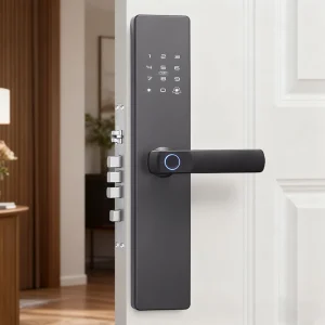 Smart Electronic Lock Zinc Alloy Steel Keyless Access with Remote Control and Fingerprint Recognition for Homes Offices and Commercial Use