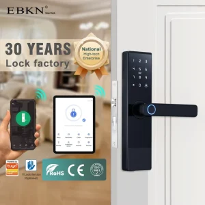 Smart Fingerprint Door Lock with App Remote Control, Keyless Entry, Anti-Theft Security