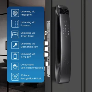 Smart Fingerprint Lock Face Recognition Electric Digital Lock with Camera Biometric Door Lock