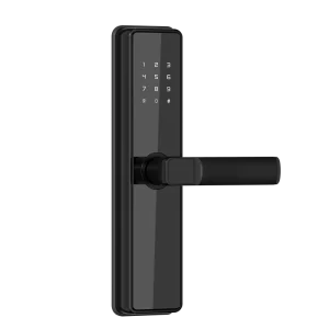 Smart Lock Zinc Alloy Wood Door Fingerprint Face Recognition Memory Card App Wi-Fi Controlled