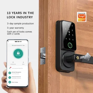 Smart Lock for Wood Doors with Wi-Fi Remote Access, Waterproof Design, IC Card, Keypad, and Biometric Code