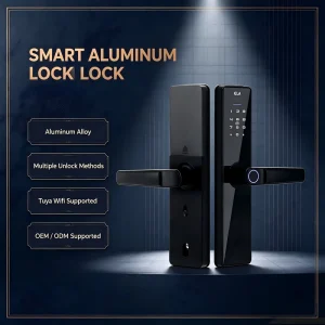 Smart WiFi Lock with Fingerprint, Password, RFID Card, and Electronic Door Lock for Wood and Aluminum Entry Doors