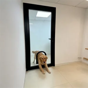 Steel-Frame Double-Layer Insulating Tempered Glass Door with Wind Resistance and Dog Hole