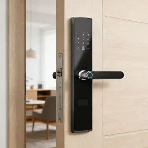TTLock WiFi Fingerprint Door Lock with Manufacturer OEM ODM Tuya Remote Control, BLE Keyless Entry, and Hotel Lock Function