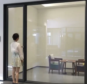 Thermal Break Aluminum Double Glass Casement Doors Energy Efficient Patio Swing Doors
