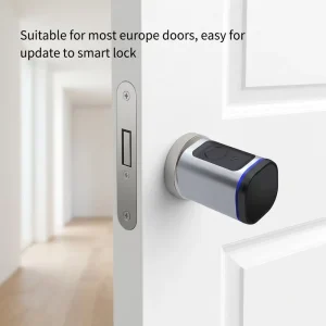 Tuya Wireless Smart Lock Cylinder with Biometric Fingerprint, Key Card and Waterproof Electronic Access for Wood Doors
