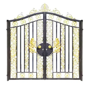 Villa Front Door Courtyard Wrought Iron Gate