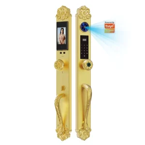 Villa Security Lock 3D Face Recognition Palm Vein Recognition Fingerprint Password Anti-pick Electronic Golden Smart Lock