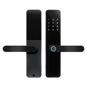 Waterproof Aluminum Alloy Keyless Fingerprint Smart Door Lock with App WiFi DC Power