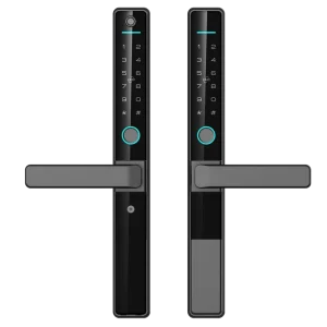 Waterproof IP65 Smart Lock TTlock Tuya WiFi Fingerprint IC Card Password Aluminum Door Lock