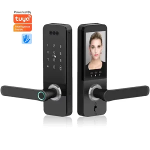 Waterproof Outdoor App Smart Lock with Cloud Storage, Face Recognition, Fingerprint, Password, Card, Key, and Camera for Steel and Brass Doors