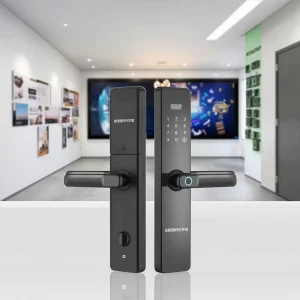 WiFi App Keyless Smart Lock with Fingerprint Card Password Memory Card Cloud Data for Wood Doors Home Hotels