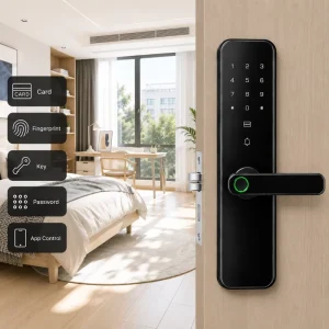 WiFi Cloud Biometric Smart Lock with Fingerprint Unlock for Steel and Glass Doors