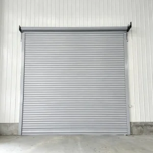 Windproof Reinforced Heavy-Gauge Steel Roller Shutter Door for Coastal Factories