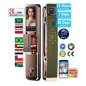 Wood Door Smart Lock Zinc Alloy Electronic Memory Card Storage Steel Door WiFi Connected Stainless Steel Facial Recognition