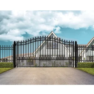Wrought Iron Courtyard Front Door and Boundary Wall Gate