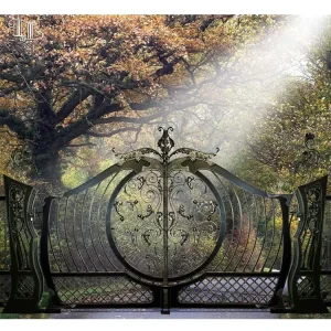Wrought Iron Villa Courtyard Main Entrance Garden Gate
