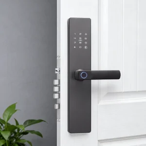 Zinc Alloy Smart Lock for Wood Doors with App Control, Remote Unlock, and 200-User Management